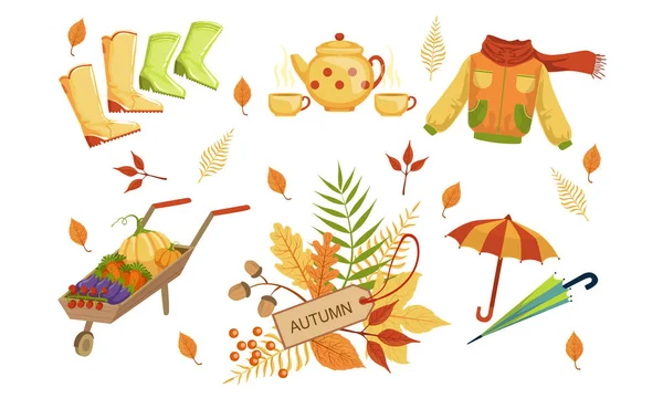 Jesienny sezon obiekty kolekcja, jesienne elementy konstrukcyjne, gumowe buty, Kurtka, Taczki z warzywami, kolorowe liście drzew, parasol wektor ilustracja — Wektor stockowy