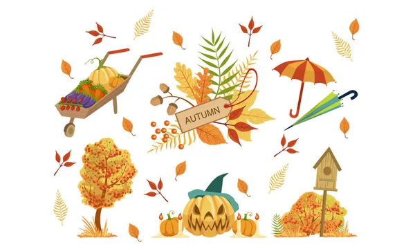 秋の季節のオブジェクトコレクション、秋のデザイン要素、野菜と手押し車、ハロウィーンカボチャ、カラフルな木の葉、傘ベクトルイラスト — ストックベクタ