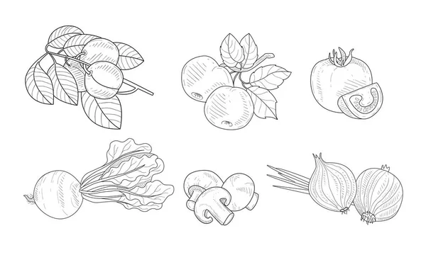 Trädgård element set, vattning kan, aprikos och äppel grenar, granatäpple, rödbetor, svamp, lök svart och vitt handritade vektor illustration — Stock vektor