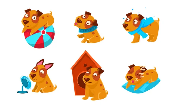 Cute Little Dog Cartoon Character Set, Funny Brown Puppy in Different Situations Vector Illustration — Stockový vektor