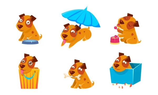 Lindo juego de caracteres de perro, cachorro divertido en diferentes situaciones Vector Illustration — Vector de stock