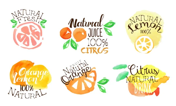 Fresh Natural Citrus Juice Labels Set, Orange, Lemon Juice Bright Badges Hand Drawn Watercolor Vector Illustration — Stock Vector