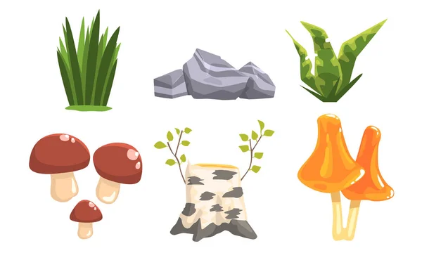 Természet erdei tájelemek szett, növények, kövek, Birch Stump, gomba vektoros illusztráció — Stock Vector