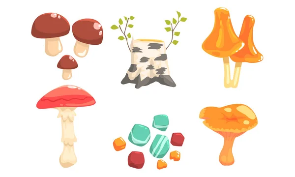 Nature Forest Landscape Elements Set, Plants, Stones, Birch Stump, Mushrooms Vector Illustration — Stock Vector