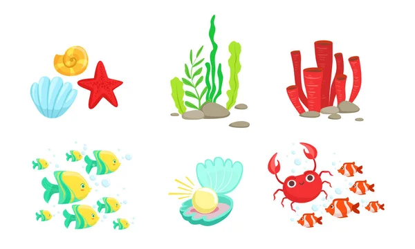 Conjunto de elementos do mundo subaquático, Peixes tropicais, Algas, Corais, Caranguejos, Sea Shell Vector Ilustração — Vetor de Stock