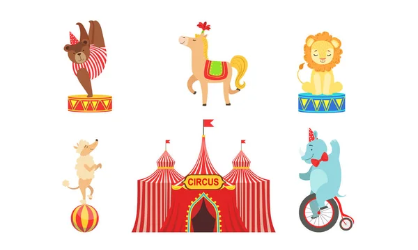 Personajes del Circo Conjunto, Marquesina, Circo Animales, León, Oso, Caballo, Perro caniche, Elefante Vector Ilustración — Vector de stock