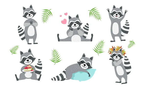 Cute Funny Raccoons Collection, Adorable Funny Forest Animal Character in Different Situations Vector Illustration — Stock Vector