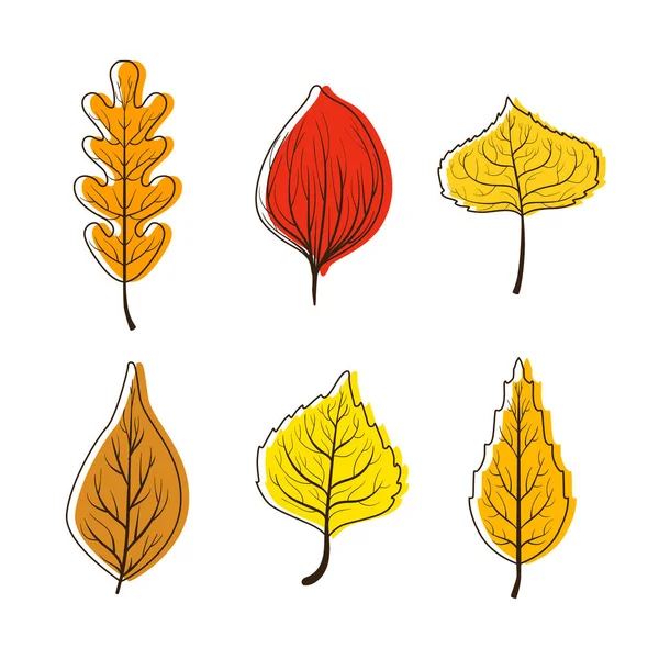 Collectie van heldere kleurrijke herfst bladeren van verschillende soort bos bomen vector illustratie — Stockvector