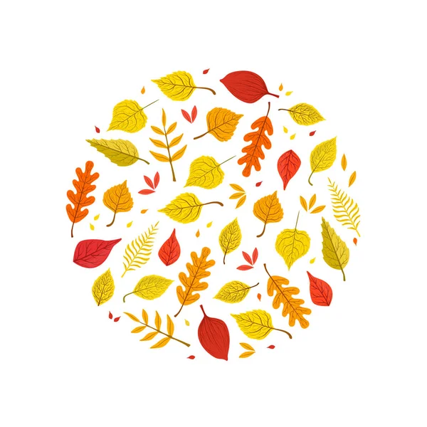 Bright Autumn Leaves of Various Forest Trees Seamless Pattern of Round Shape Vector Illustration — Stock Vector