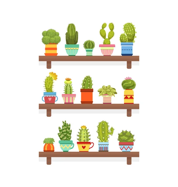 Cactus lindo y plantas suculentas en estantes de madera, plantas domésticas en ollas coloridas, ilustración del vector del elemento decorativo del hogar o de la oficina — Archivo Imágenes Vectoriales