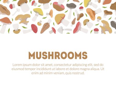 Mantar Başlık Şablon Uğrama Dikişsiz Desen ve Metin Vektör İllüstrasyon için Boşluk Farklı Türleri ile
