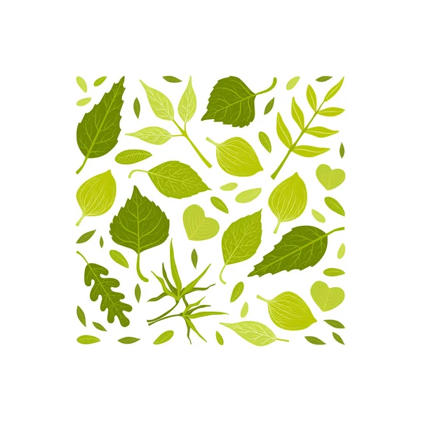 Kare Şekil Vektör İllüstrasyon Çeşitli Orman Ağaçları Desen Yeşil Yaprakları ile Hello Bahar Afiş Şablonu — Stok Vektör