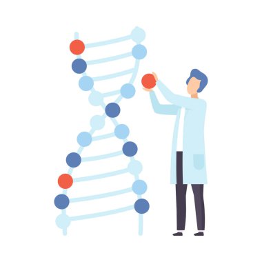 Kromozom modelinin yanında erkek bilim adamı. Vektör çizimi.