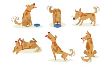 Farklı Durumlarda Komik Kahverengi Köpek Koleksiyonu Set, Sevimli Mutlu Hayvan Karikatür Karakter Vektör İllüstrasyon