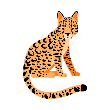 Turuncu Çita. Beyaz arkaplanda vektör illüstrasyonu.