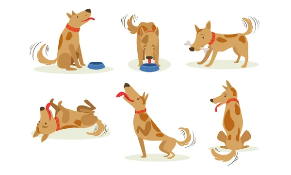 Colección de perro marrón divertido en diferentes situaciones conjunto, lindo animal feliz dibujo animado personaje vectorial ilustración — Vector de stock