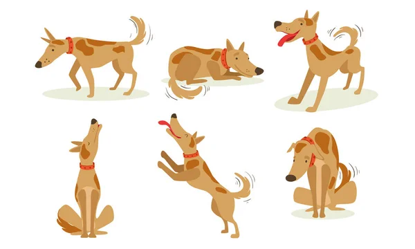 異なる状況で面白い茶色の犬のコレクションセット、かわいい陽気な動物漫画キャラクターベクトルイラスト — ストックベクタ