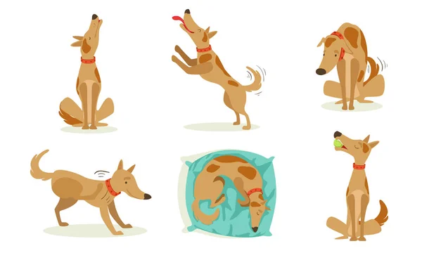 Coleção de Cão Castanho Engraçado em Conjunto de Situações Diferentes, Personagem Animal Bonito Jogando, Dormindo, Howling Cartoon Vector Ilustração — Vetor de Stock