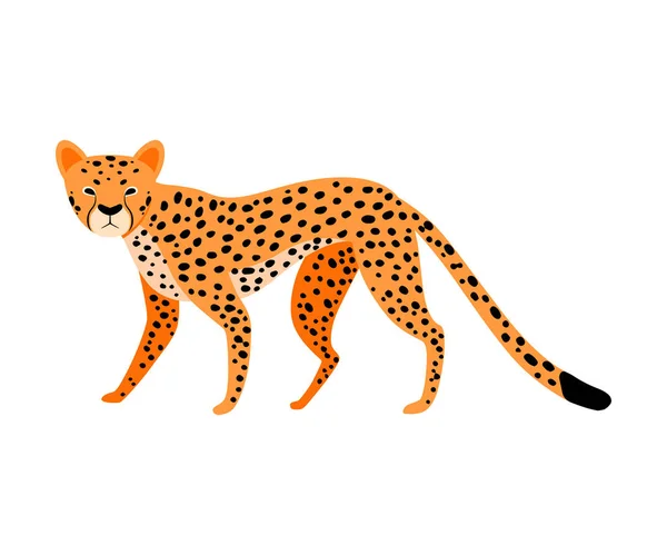 Orange Leopard. Vector illustration on a white background. — Stock Vector