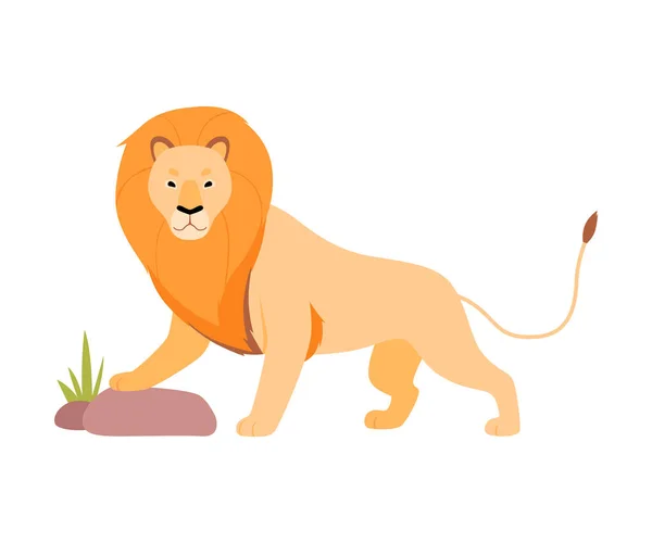 Lion stands near a stone. Vector illustration on a white background. — Stock Vector