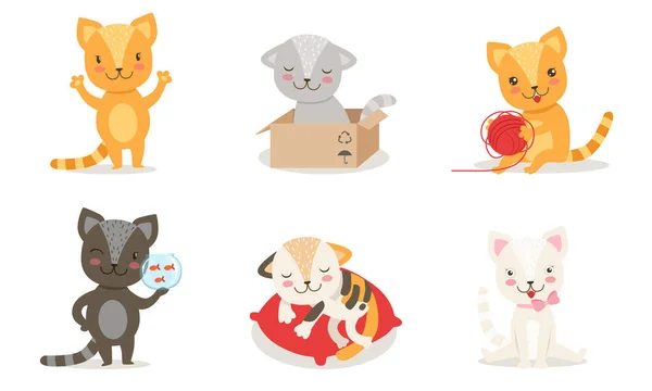 Conjunto de personagens de desenhos animados de gatinhos bonitos, adoráveis gatinhos em diferentes situações ilustração vetorial — Vetor de Stock