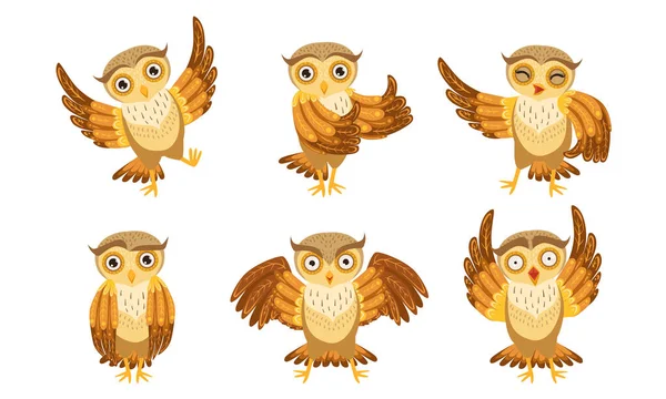 Conjunto de personagens de desenhos animados coruja bonito, adorável engraçado corujas em diferentes Poses Vector Ilustração — Vetor de Stock