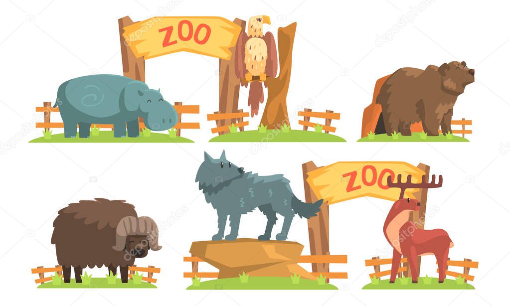 Animals in the Zoo Set, Hippo, Eagle, Bear, Bison, Wolf, Deer Vector Illustration