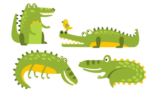 Set of cartoon green crocodiles. Vector illustration. — 스톡 벡터