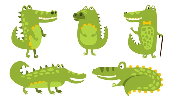 Set of humanized green with a yellow belly crocodiles. Vector illustration. — 스톡 벡터