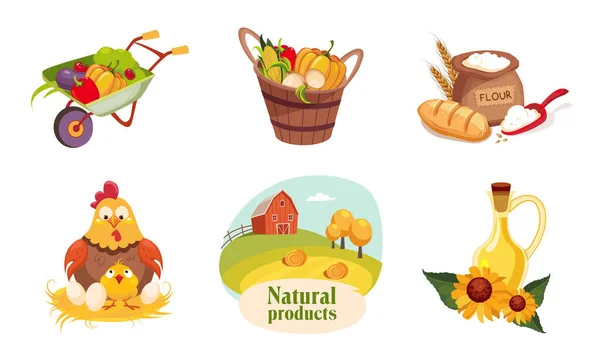 Farma Zvířata a Eco Zdravé produkty Set, Zemědělské a zemědělské odznaky Vektorové ilustrace — Stockový vektor