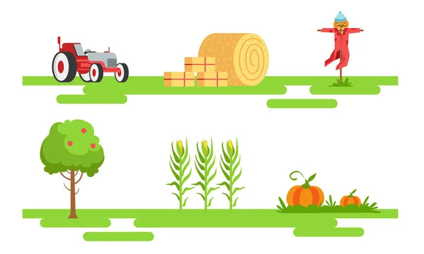 Eco Farm och jordbrukselement Set, Traktor, Fågelskrämma, Fruktträd, Majsplantor Vektor Illustration — Stock vektor