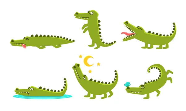 Krokodil rajzfilm karakter különböző pózok készlet, aranyos kétéltű állat különböző érzelmek vektor illusztráció — Stock Vector