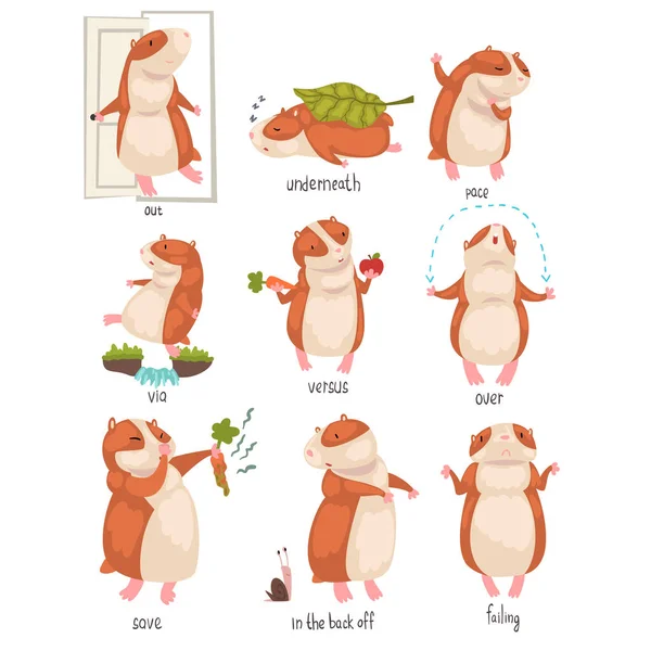 Russian Language Prepositions of Place and Cute Hamster Character Set, Educational Visual Material for Children Education Vector Illustration — стоковый вектор