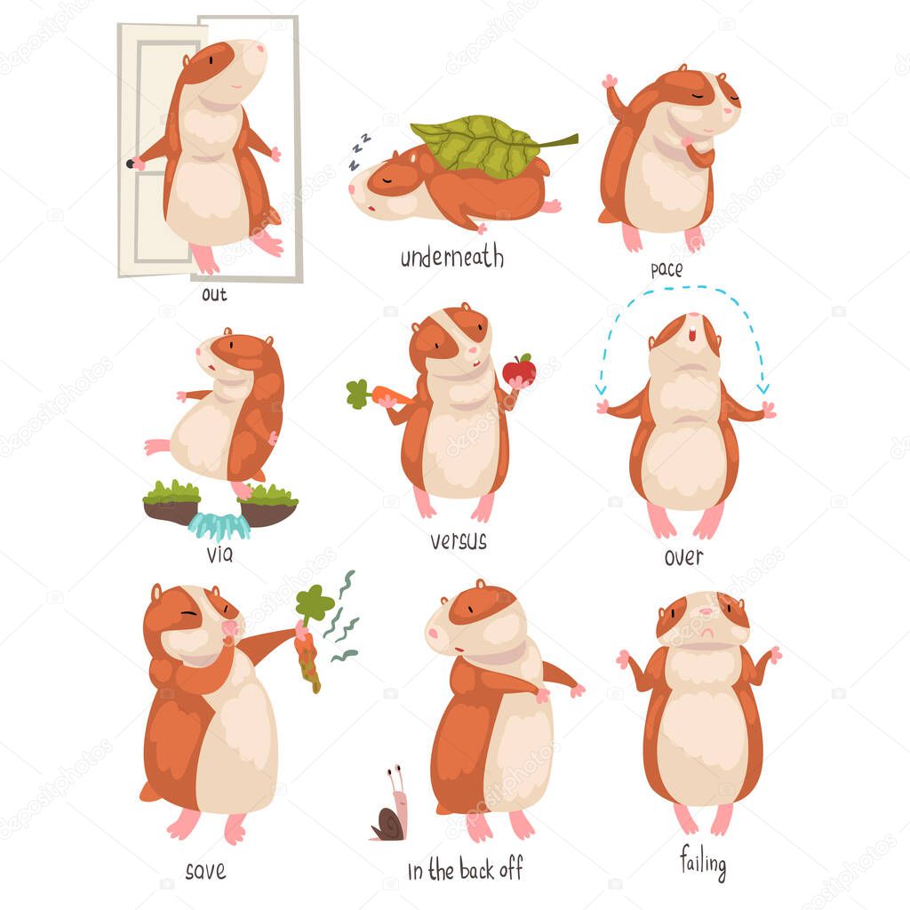 TopVectors