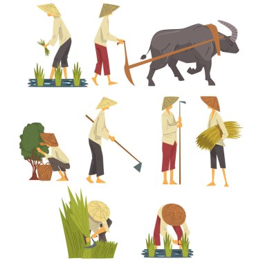 Hasır Şapkalı Asyalı Çiftçiler Tarlada Çalışıyor, Köylü Karakterleri Pirinç ekip biçiyor, Çay Yaprakları Yaprakları Çizgi Film Stili Vektör Çizimi
