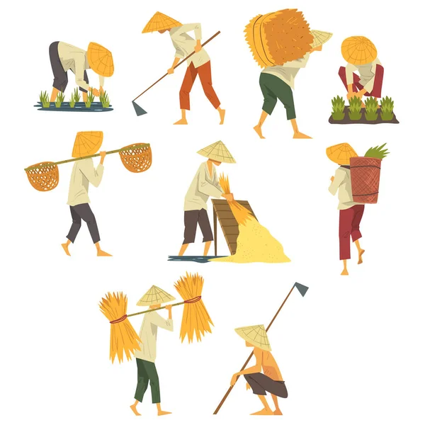 Agricultores asiáticos con sombreros cónicos de paja trabajando en el campo, personajes campesinos plantando y cosechando arroz Dibujos animados Estilo Vector Ilustración — Vector de stock