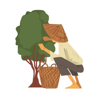 Straw Conical Hat 'teki Asyalı Çiftçi Beyaz Arkaplanda Çizgi Film Stili Vektör Resmini Çekiyor