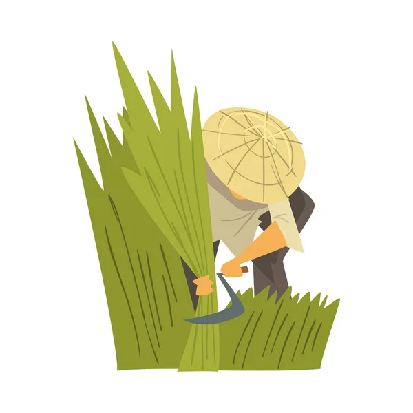 Asiatisk bonde i halmkonisk hatt skörda ris, bönder karaktär arbetar på fältet tecknad stil vektor Illustration — Stock vektor