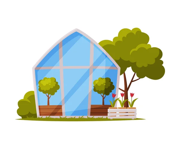 Greenhouse with Glass Walls and Plant Growing in Pots Flat Style Vector Illustration on White Background — Stock Vector