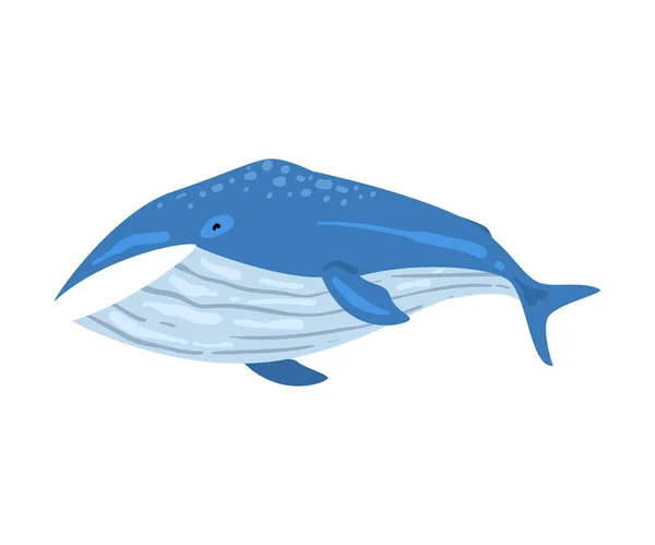 Mammifero di balena Animale, elemento di vita marina, mare o oceano Creatura vettoriale Illustrazione — Vettoriale Stock