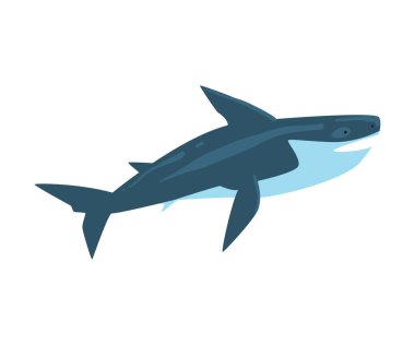 Katil Balina, Deniz Yaşamı Elementi, Deniz veya Okyanus Yaratığı Vektör İllüstrasyonu