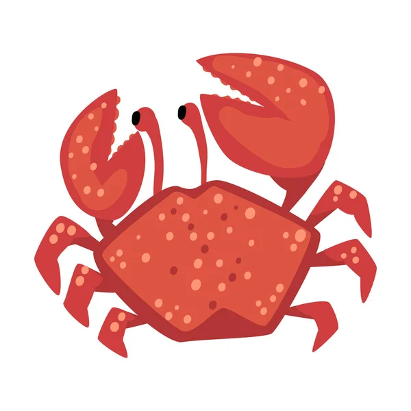 Ilustração do vetor da criatura do mar ou do oceano, elemento da vida marinha, animal do caranguejo vermelho — Vetor de Stock