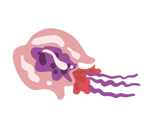 Meduse, elemento vita marina, mare o oceano creatura vettoriale Illustrazione — Vettoriale Stock