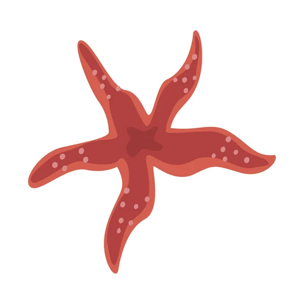 Étoile de mer rouge, élément de vie marine, illustration vectorielle des créatures marines ou océaniques — Image vectorielle