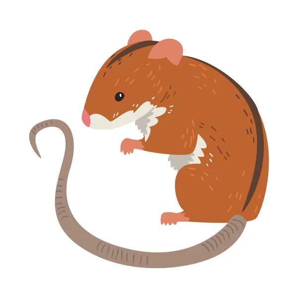 Field Mouse, Cute Fluffy Red Rodent Animal with Black Stripe on Its Back, Side View Vector Illustration — Stock Vector