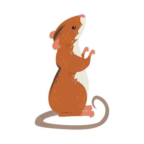 Field Mouse Standing on Hind Legs, Red Rodent Animal with Black Stripe on Its Back Vector Illustration — Stock Vector