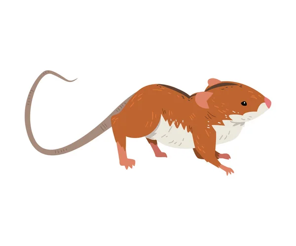 Field Mouse, Cute Fluffy Red Rodent Animal with Black Stripe on Its Back, Side View Vector Illustration — Stock Vector