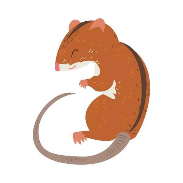 Field Mouse, Adorable Fluffy Red Rodent Animal with Black Stripe on Its Back Vector Illustration — Stock Vector