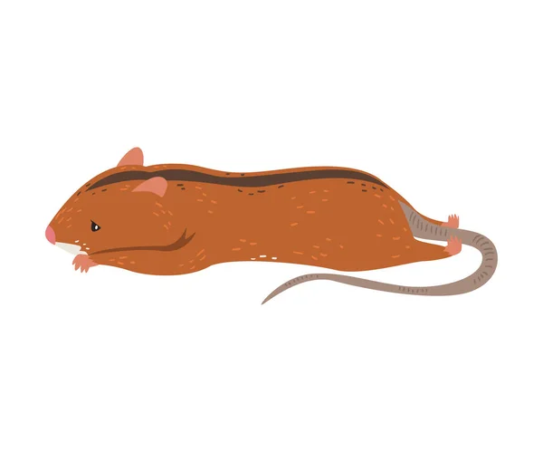 Field Mouse Lying on Its Stomach and Sleeping, Fluffy Red Rodent Animal with Black Stripe on Its Back Vector Illustration — Stock Vector