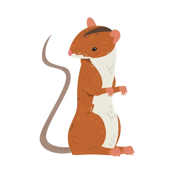 Field Mouse Standing on Hind Legs, Adorable Red Rodent Animal Vector Illustration — Stock Vector